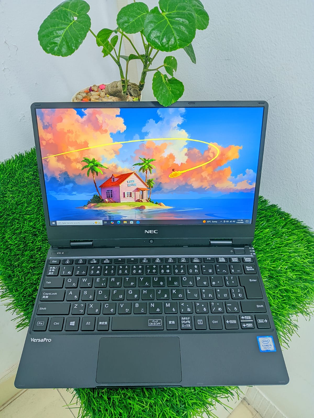 WhatsApp Image 2026-01-12 at 2.05.42 PM